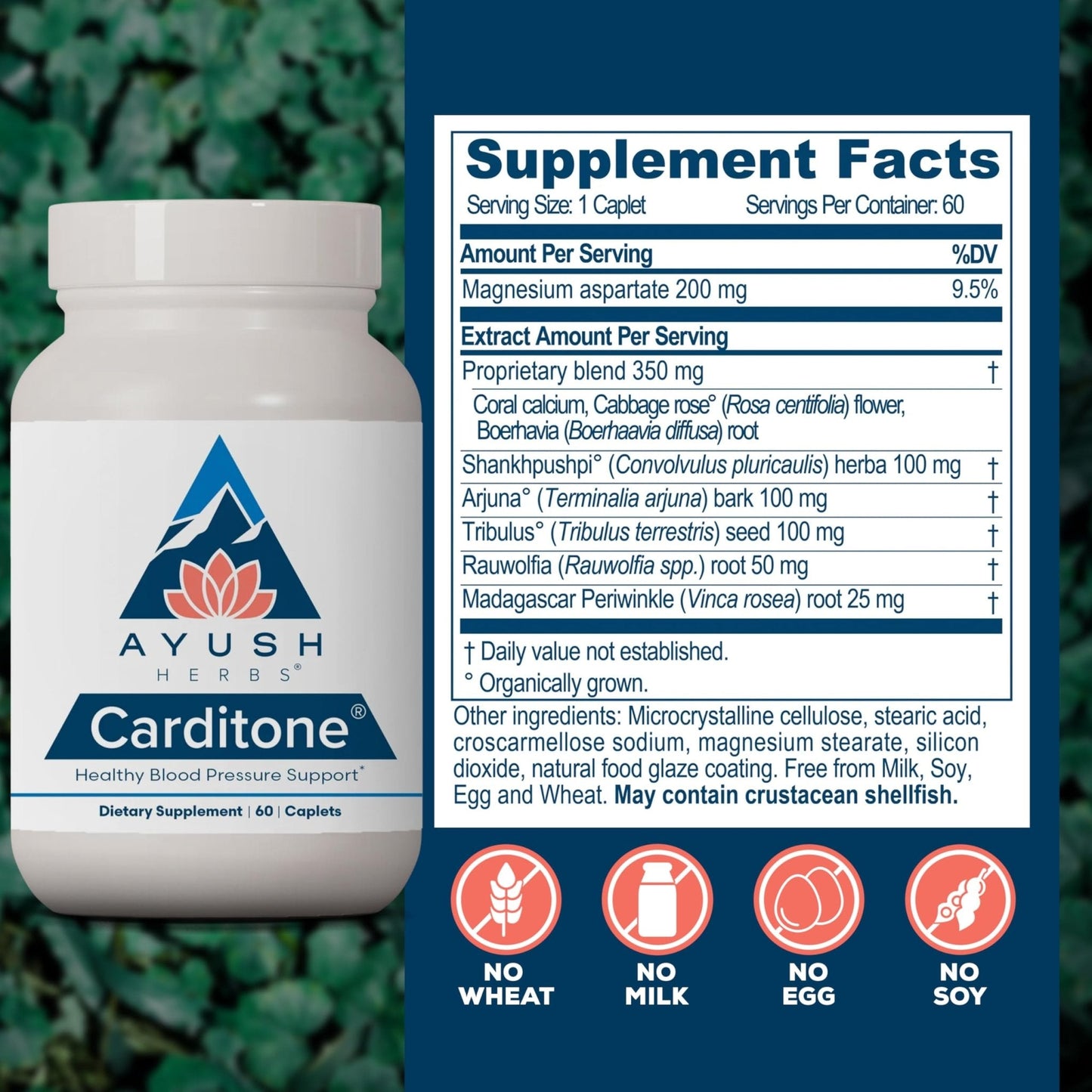 Ayush Herbs Carditone - Natural Heart Health Supplement for Women & Men, BP Formula, Holistic Heart Support with Rauwolfia, Arjuna, Calcium - Maple Wellness Supplements
