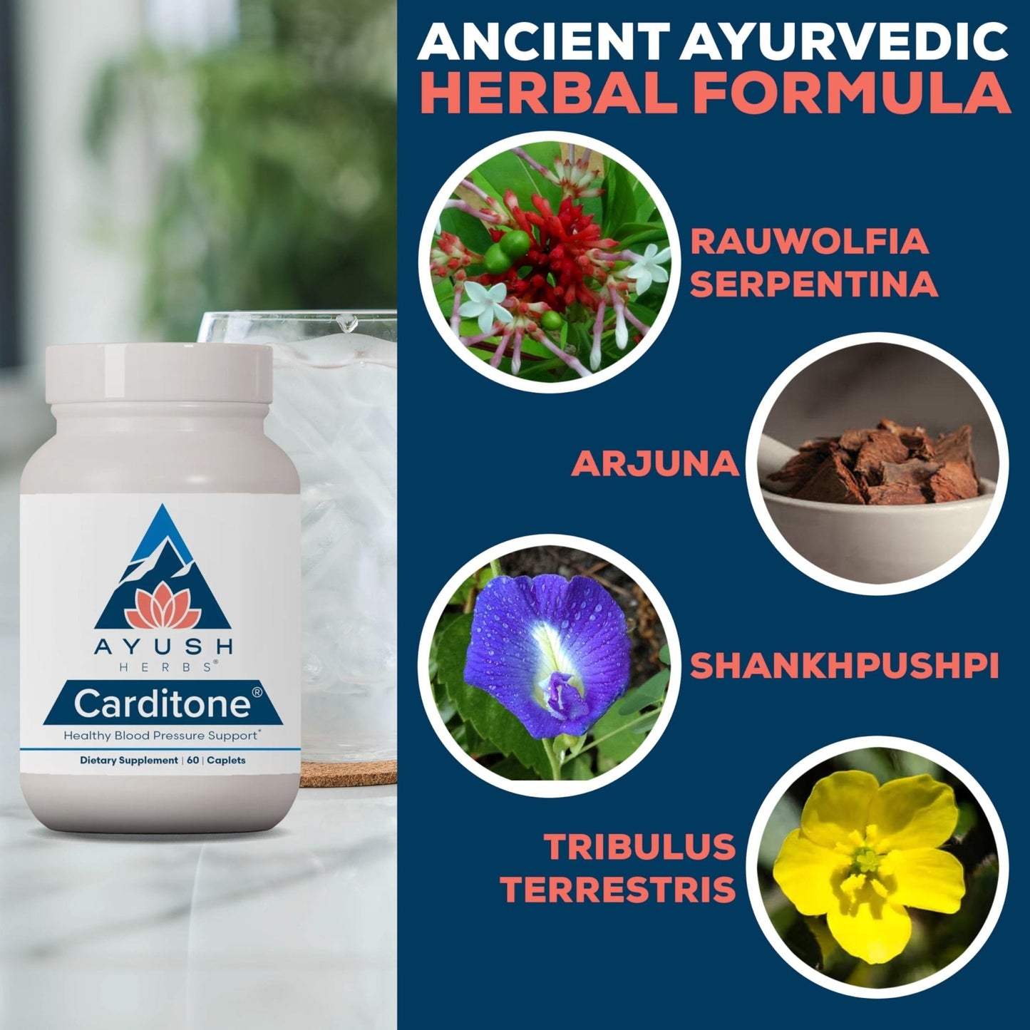 Ayush Herbs Carditone - Natural Heart Health Supplement for Women & Men, BP Formula, Holistic Heart Support with Rauwolfia, Arjuna, Calcium - Maple Wellness Supplements