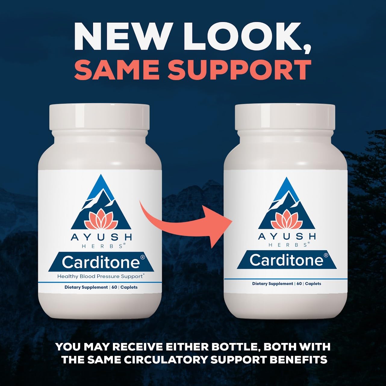 Ayush Herbs Carditone - Natural Heart Health Supplement for Women & Men, BP Formula, Holistic Heart Support with Rauwolfia, Arjuna, Calcium - Maple Wellness Supplements