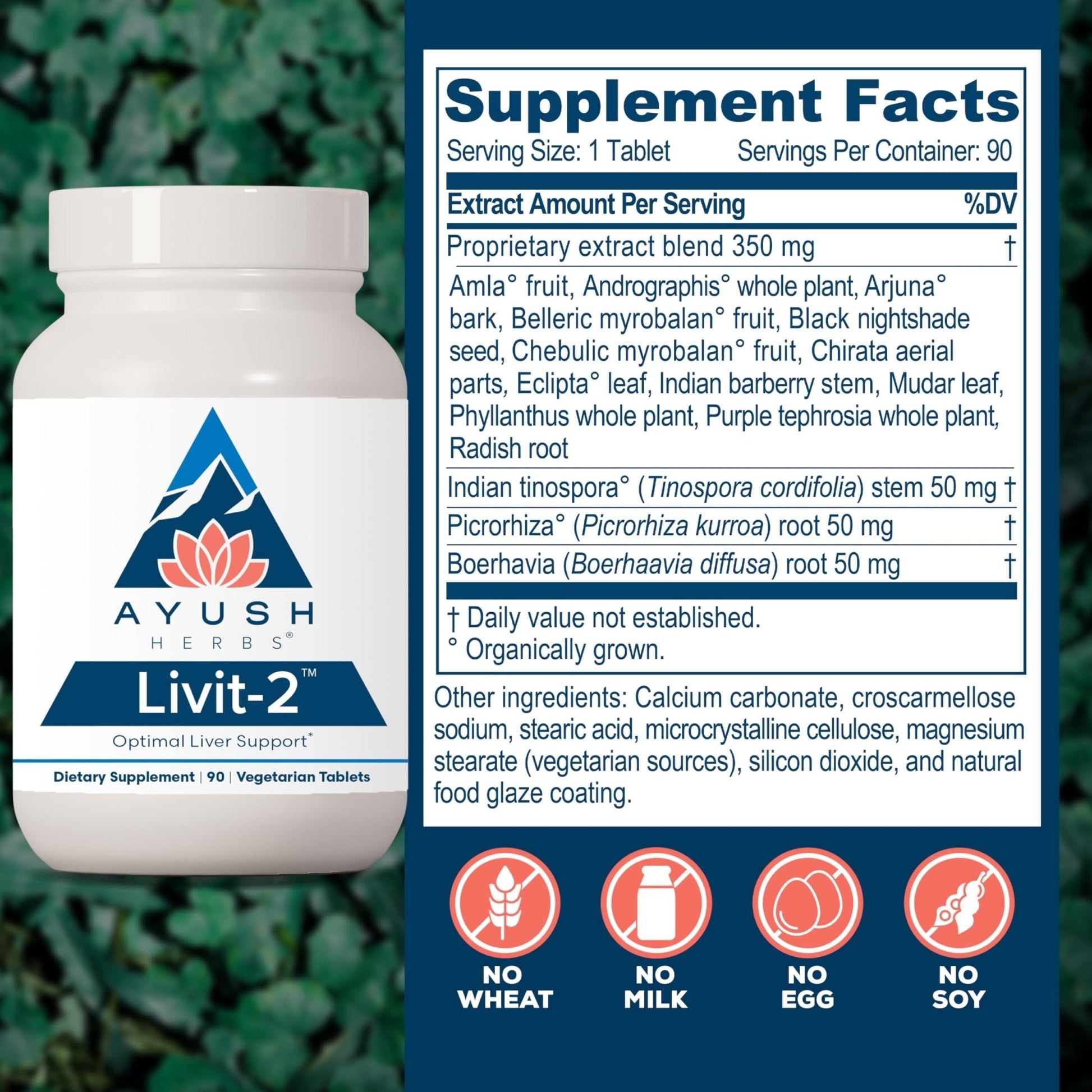 Ayush Herbs Livit-2 - Liver Care, Liver Support Supplement for Women & Men with Andrographis & Picrorhiza, Liver Pills Made with Organic Ingredients - 90 Servings - Maple Wellness Supplements