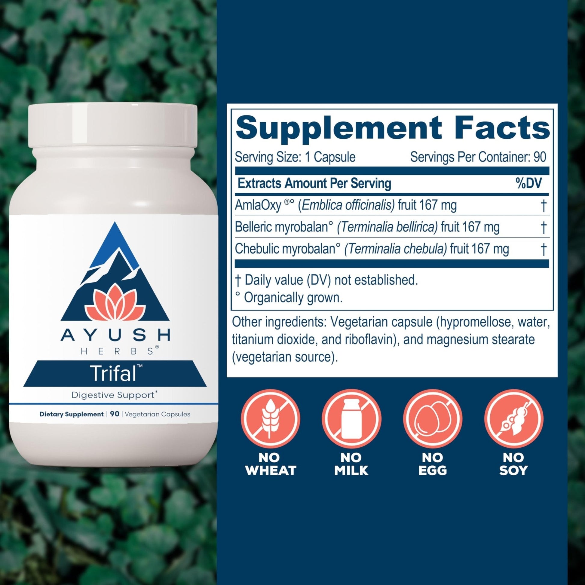 Ayush Herbs Trifal Digestive Support with Amla - Triphala Supplement for Women & Men, Promotes Balanced Digestion, Antioxidant Rich, Made with Organic Ingredients - 90 Vegetarian Capsules (1 Count) - Maple Wellness Supplements
