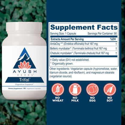 Ayush Herbs Trifal Digestive Support with Amla - Triphala Supplement for Women & Men, Promotes Balanced Digestion, Antioxidant Rich, Made with Organic Ingredients - 90 Vegetarian Capsules (1 Count) - Maple Wellness Supplements