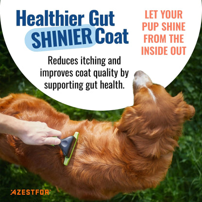 Azestfor Gut Health Supplement for Dogs – 3 in 1 Probiotic, Prebiotic & Postbiotic Blend – Supports Digestion, Immunity & Skin – Easy-to-Use Powder – for All Breeds & Sizes – 60g (30 Servings) - Maple Wellness Supplements
