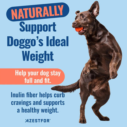 Azestfor Gut Health Supplement for Dogs – 3 in 1 Probiotic, Prebiotic & Postbiotic Blend – Supports Digestion, Immunity & Skin – Easy-to-Use Powder – for All Breeds & Sizes – 60g (30 Servings) - Maple Wellness Supplements