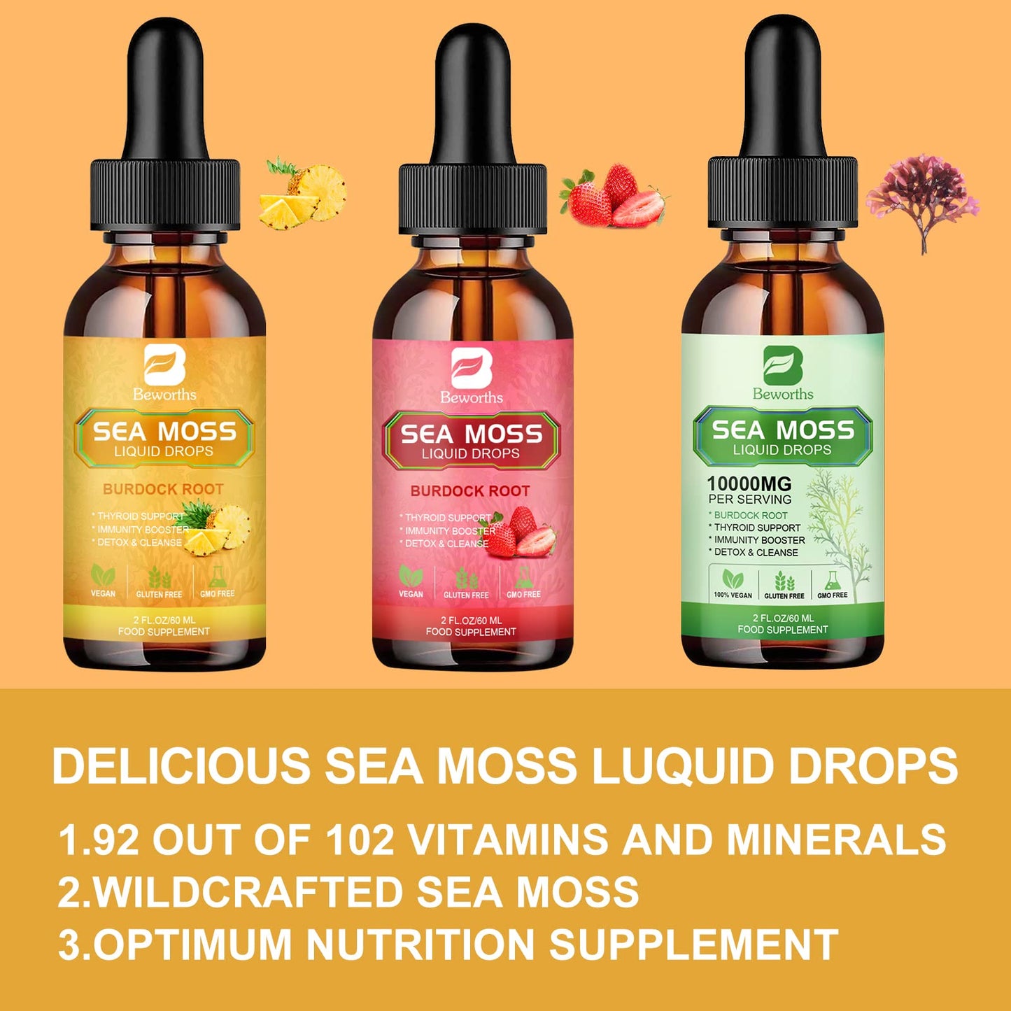 B BEWORTHS Sea Moss Liquid Drops - Organic Irish Sea Moss Gel with Burdock Root - Maple Wellness Supplements