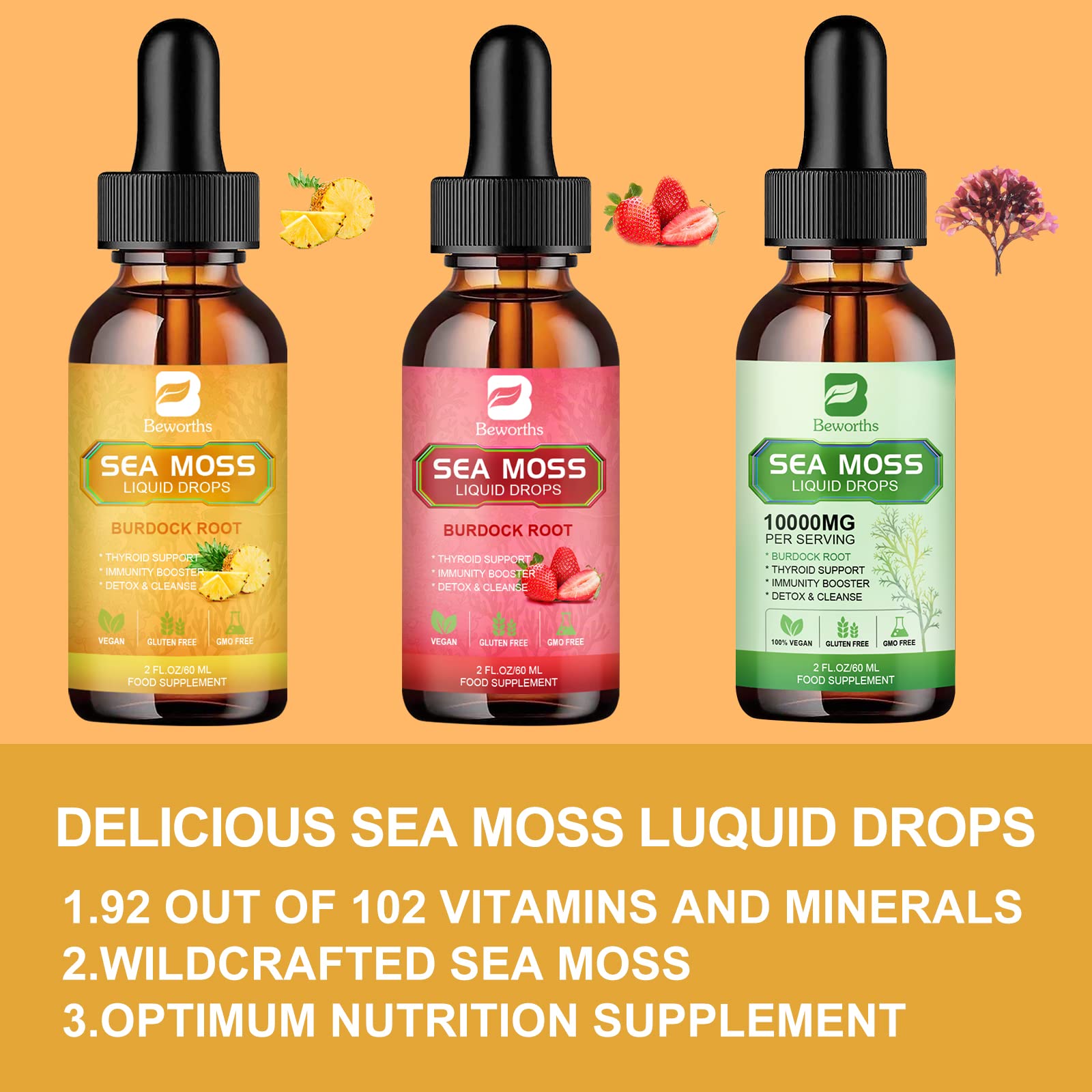 B BEWORTHS Sea Moss Liquid Drops - Organic Irish Sea Moss Gel with Burdock Root - Maple Wellness Supplements