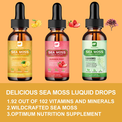 B BEWORTHS Sea Moss Liquid Drops - Organic Irish Sea Moss Gel with Burdock Root - Maple Wellness Supplements