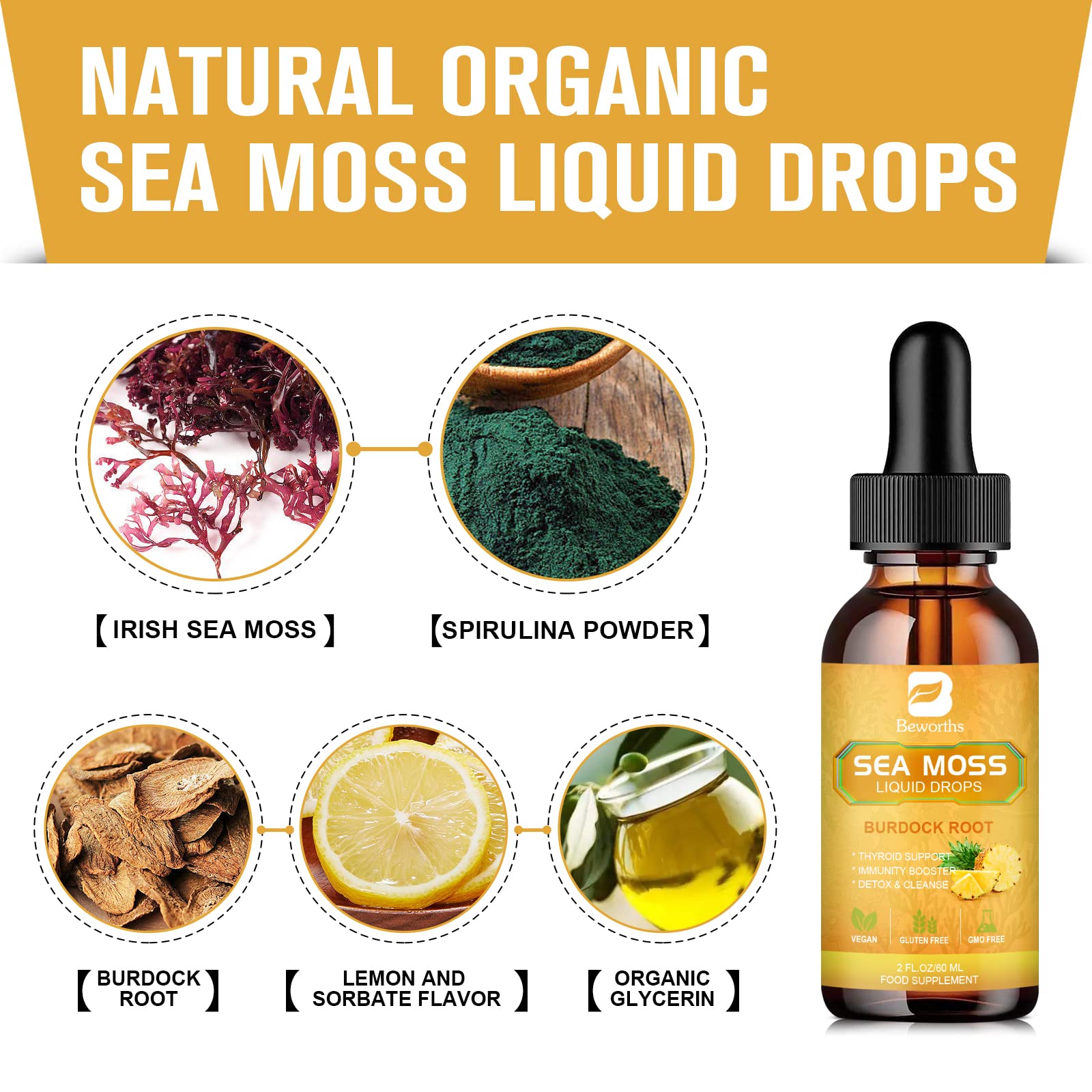 B BEWORTHS Sea Moss Liquid Drops - Organic Irish Sea Moss Gel with Burdock Root - Maple Wellness Supplements