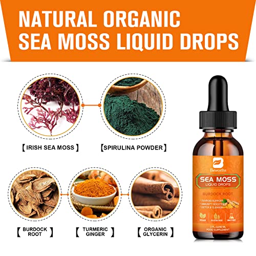 B BEWORTHS Sea Moss Liquid Drops - Organic Irish Sea Moss Raw Gel with Burdock Root - Maple Wellness Supplements