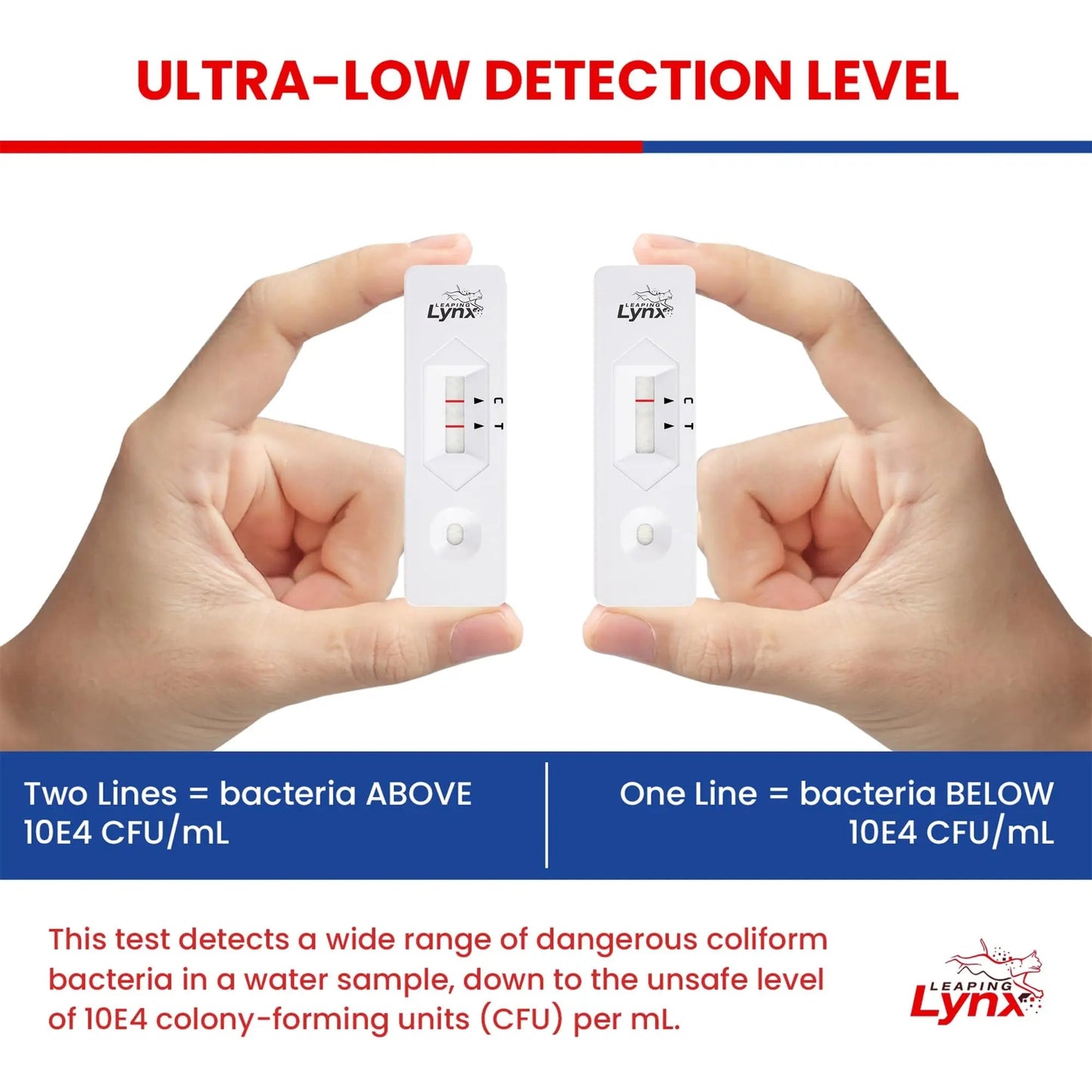 Bacteria Water Test Kit – Coliform, E. coli & Salmonella Detection for Well & Tap Water | Rapid Home Drinking Water Screening Kit with Lab-Quality Results | Leaping Lynx - Maple Wellness Supplements