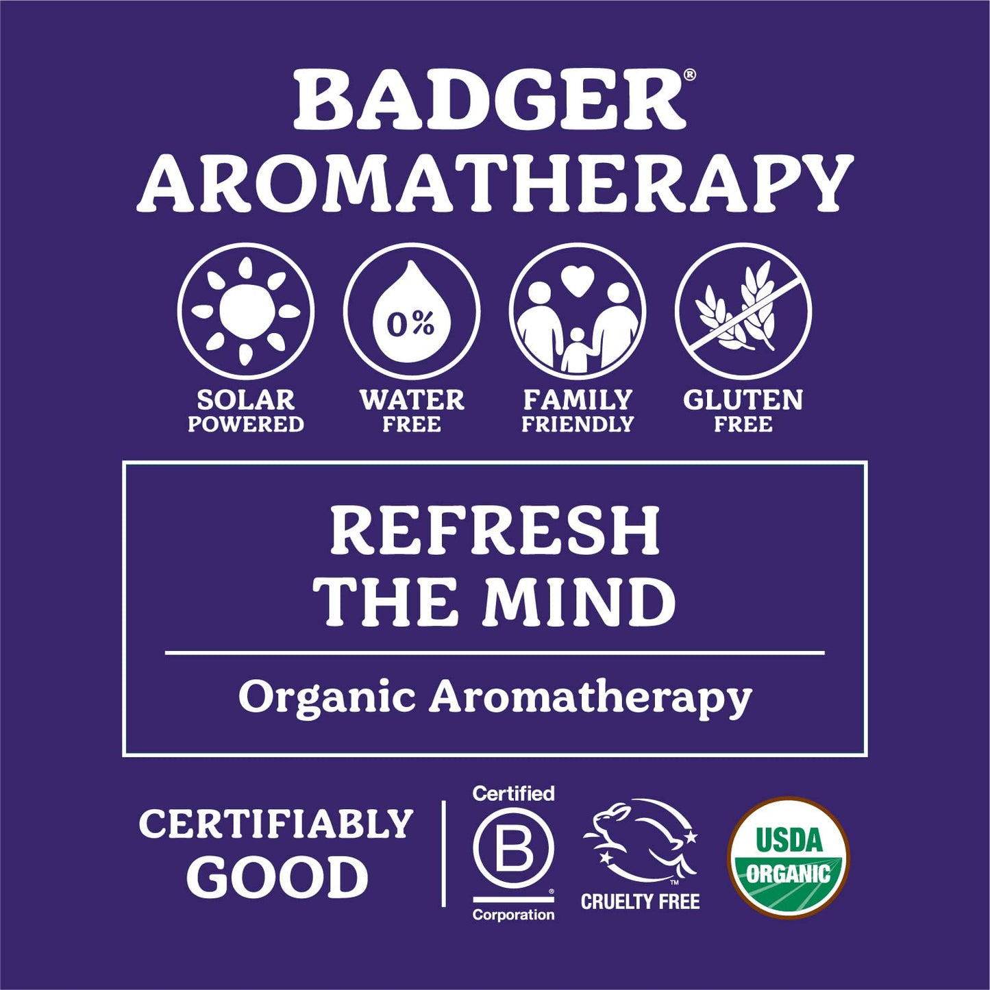 Badger Headache Soother - .6 oz Stick - Maple Wellness Supplements