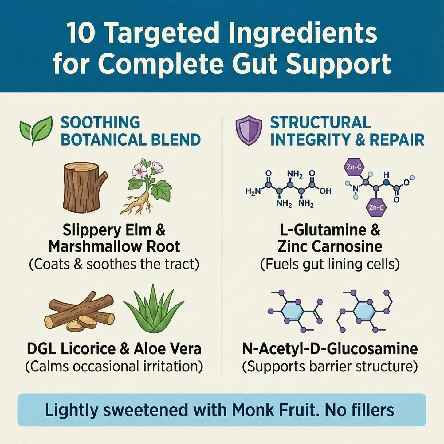 Balance ONE 2-Month Complete Digestive Support Bundle – Intestinal Barrier & Microbiome Kit – Includes 2X RevivaGut Powder & 1x Daily Probiotic (3 Pieces) - Maple Wellness Supplements