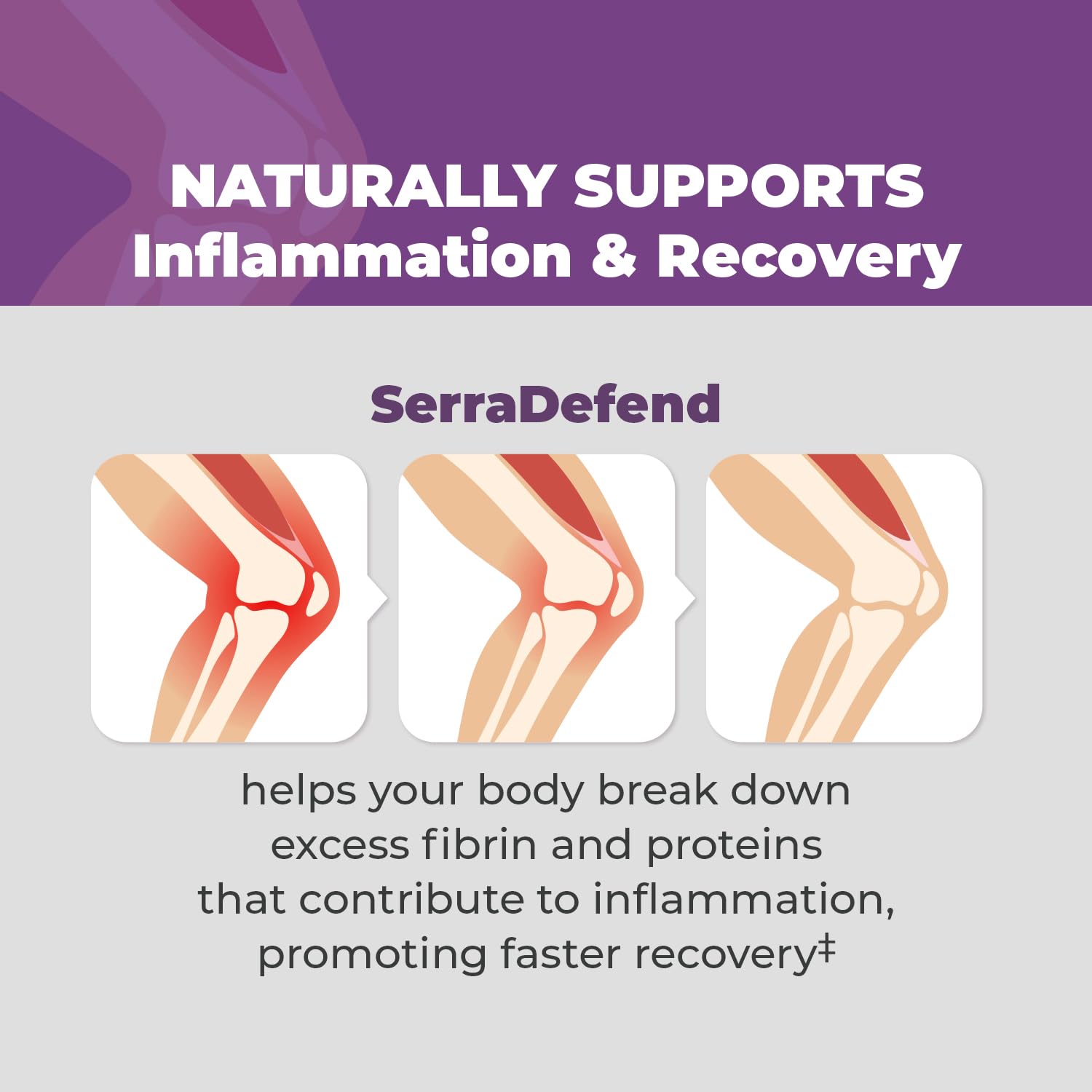 Balance ONE Biofilm Disruptor – Proteolytic Enzymes & Defense Supplement with Serrapeptase & Nattokinase – Systemic & Digestive Support – 60 Capsules, 2 Month Supply – for Women & Men – SerraDefend - Maple Wellness Supplements