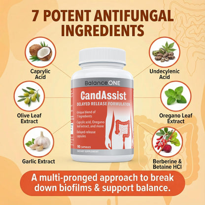 Balance ONE Candida Cleanse & Yeast Support Complex – Caprylic Acid, Undecylenic Acid, Berberine & Oregano Leaf – Gut Flora Balance for Women & Men - Maple Wellness Supplements