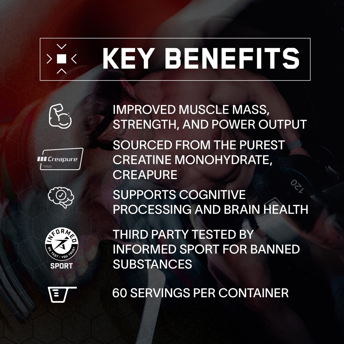BARE PERFORMANCE NUTRITION, BPN Pure Creatine Monohydrate Powder by Creapure, 5g of Creatine per Serving, Supports Muscle Growth - Maple Wellness Supplements