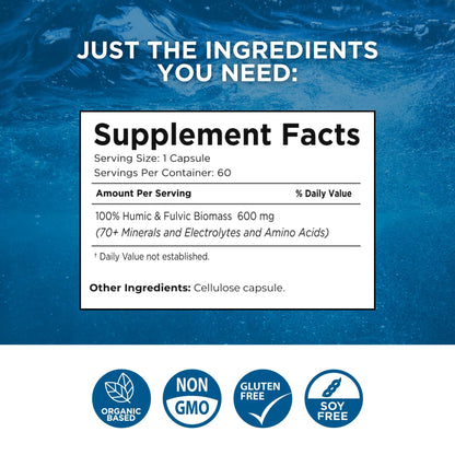Beam Minerals Complete Multi-Mineral Capsules | Electro-Boost Plant-Based Electrolytes and Micronutrients for Men and Women | Help to Boost Immunity, Support Gut Health - Maple Wellness Supplements
