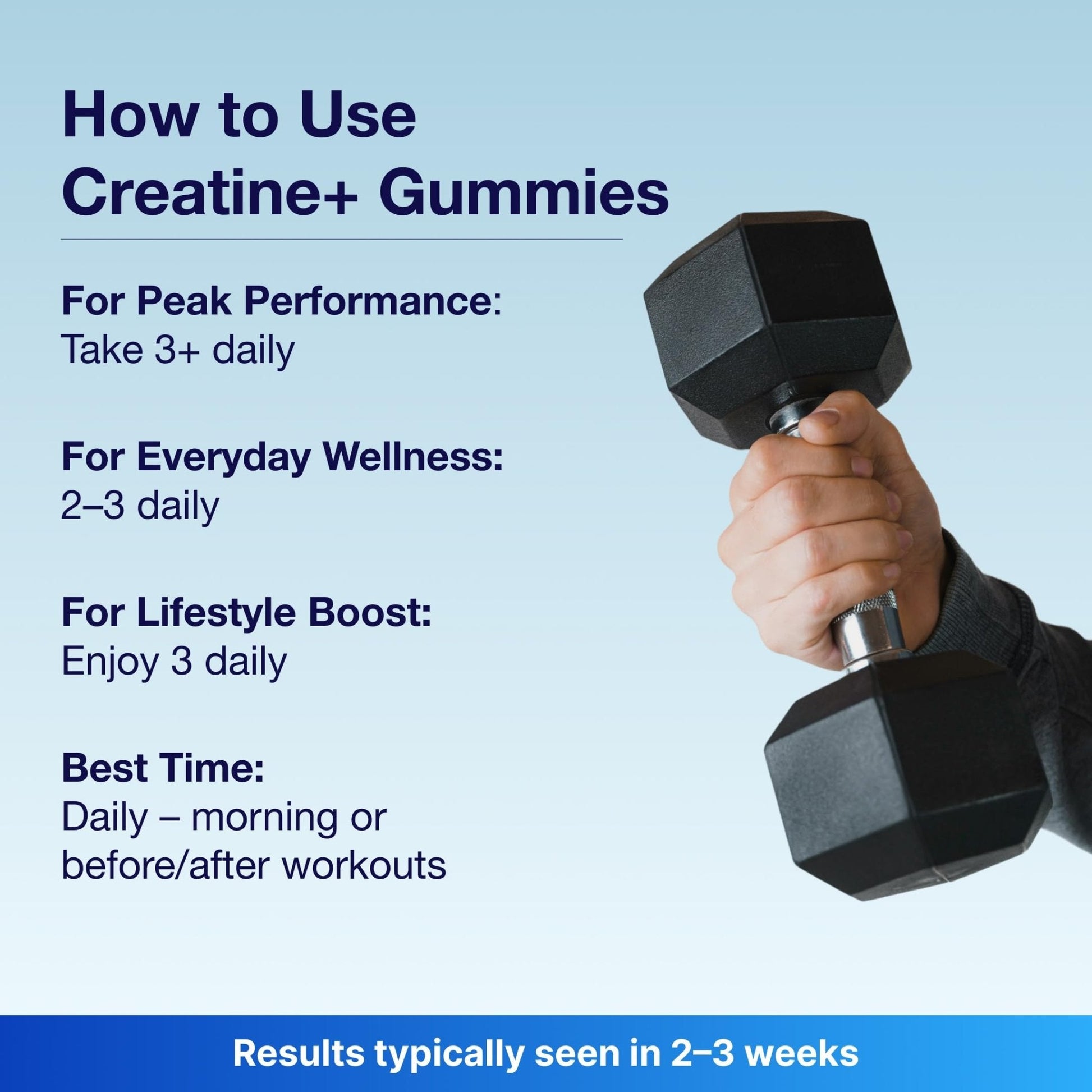 Bear Balanced Creatine Gummies for Men & Women - Creapure® Creatine Monohydrate, L-Theanine, L-Tyrosine & B12 for Muscle Growth, Strength, Focus, Energy & Health - Maple Wellness Supplements
