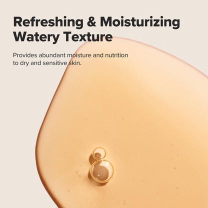 Beauty of Joseon Ginseng Essence Water Hydrating Face Toner for Dry, Dull Skin. Korean Moisturizing Skin Care - Maple Wellness Supplements