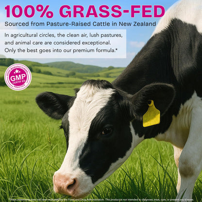 Beef Organ Supplement for Women - Grass-Fed Beef Liver, Kidney, Heart, Uterus, Ovary - Supports Female Energy & Hormone Balance - Pasture Raised in New Zealand - Maple Wellness Supplements