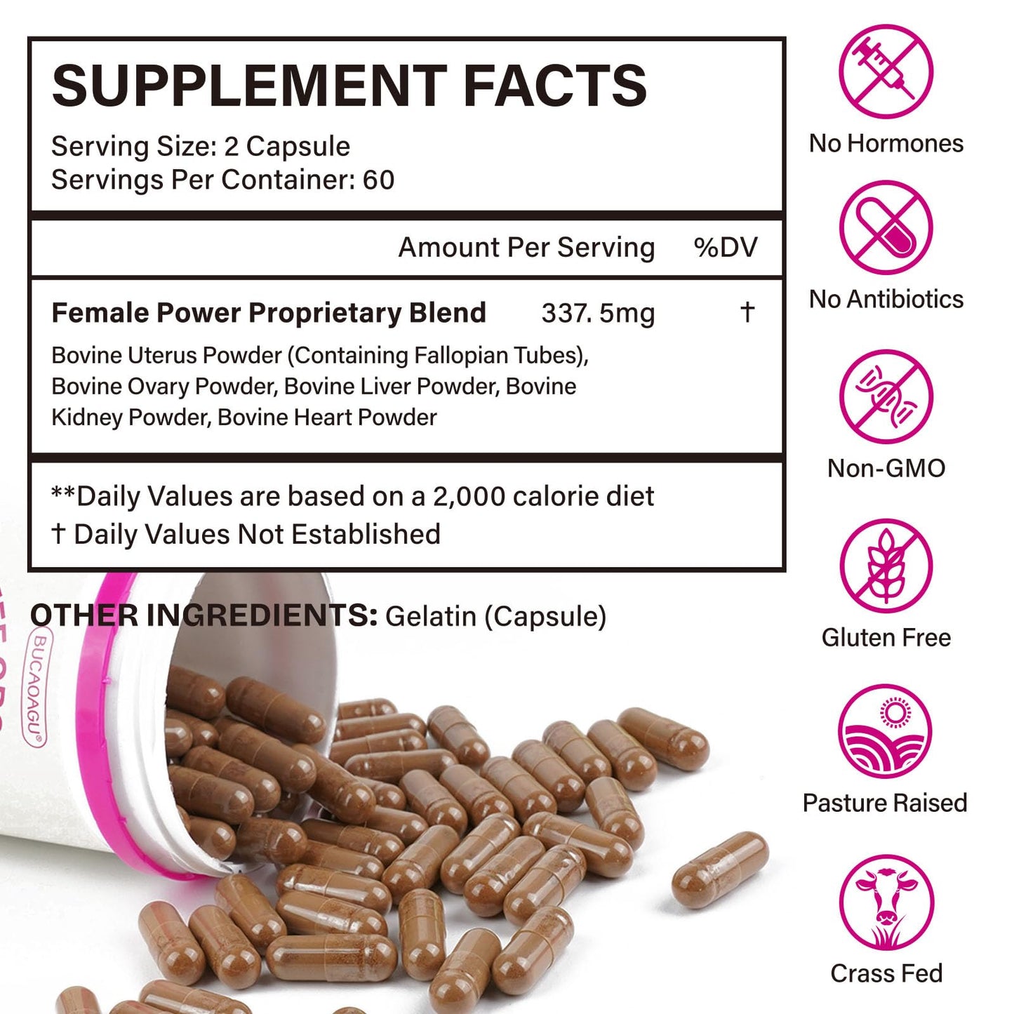 Beef Organ Supplement for Women - Grass-Fed Beef Liver, Kidney, Heart, Uterus, Ovary - Supports Female Energy & Hormone Balance - Pasture Raised in New Zealand - Maple Wellness Supplements
