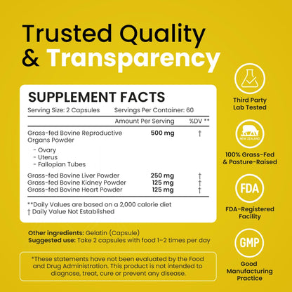 Beef Organ Supplement for Women – Grass Fed Liver, Uterus, Ovary, Heart, Kidney – 30+ Nutrients to Support Hormone Balance, Cycle Health, Energy, Immunity - Maple Wellness Supplements