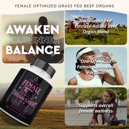 Beef Organ Supplement for Women – Supports Hormone Balance, Energy & Wellness – Grass Fed, Pasture Raised Superfood – Liver, Heart, Kidney, Bone Marrow – Collagen, CoQ10, B12 – Female Support Blend - Maple Wellness Supplements