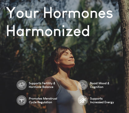 Beef Organ Supplement for Women | Supports Hormone Balance | Ovary, Uterus & Reproductive Nourishment + Liver, Kidney & Heart for Cycle Harmony - Maple Wellness Supplements