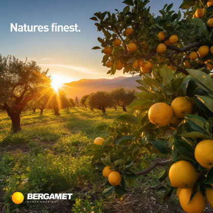 BergaMet Citrus Bergamot Supplement, 170:1 Extract, 1200mg per Serving, 80% Polyphenols, Italian Citrus Bergamot Supplement, - Maple Wellness Supplements