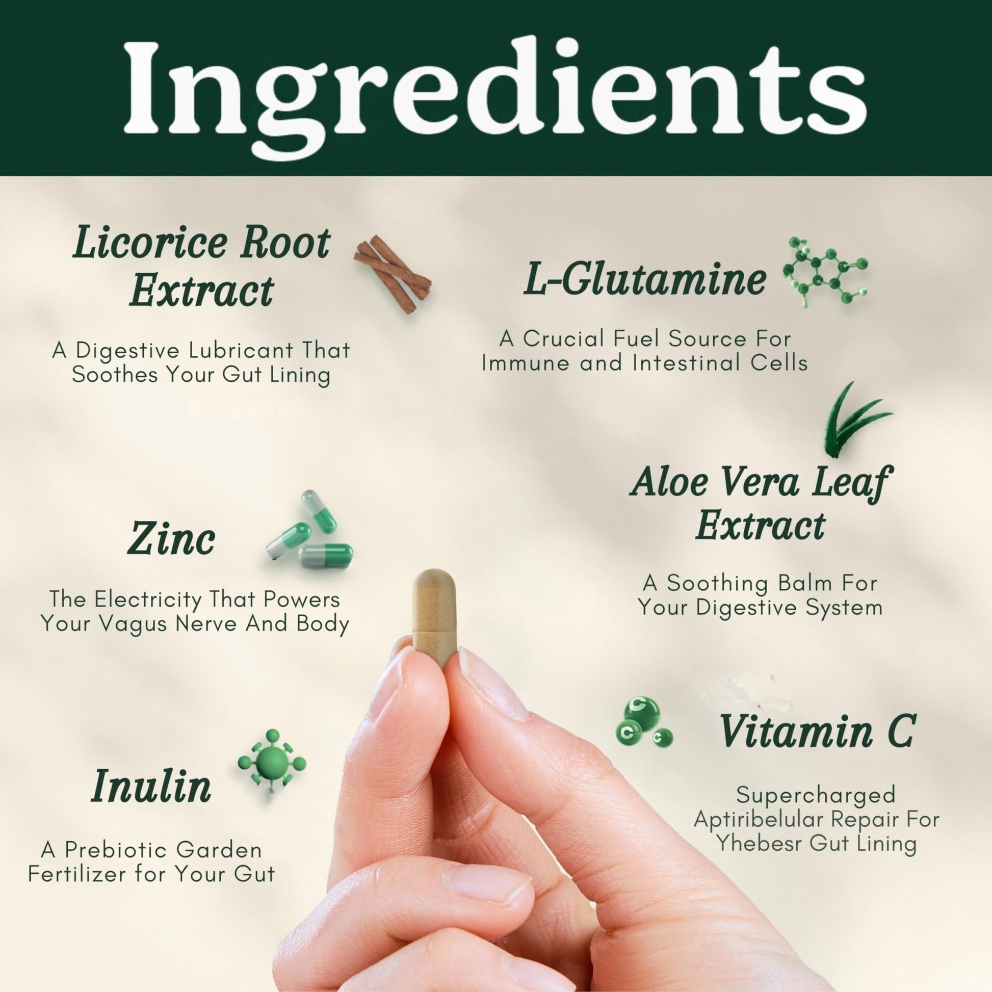 Best Days Formula | Advanced 5-in-1 Gut Support for Bloating, Gas & Irregularity | Soil-Based Probiotics + Prebiotics, L-Glutamine, Aloe Vera & More | 60 Capsules - Maple Wellness Supplements