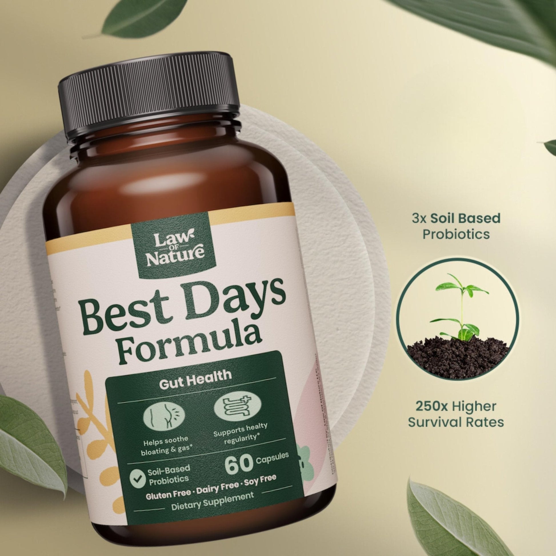 Best Days Formula | Advanced 5-in-1 Gut Support for Bloating, Gas & Irregularity | Soil-Based Probiotics + Prebiotics, L-Glutamine, Aloe Vera & More | 60 Capsules - Maple Wellness Supplements