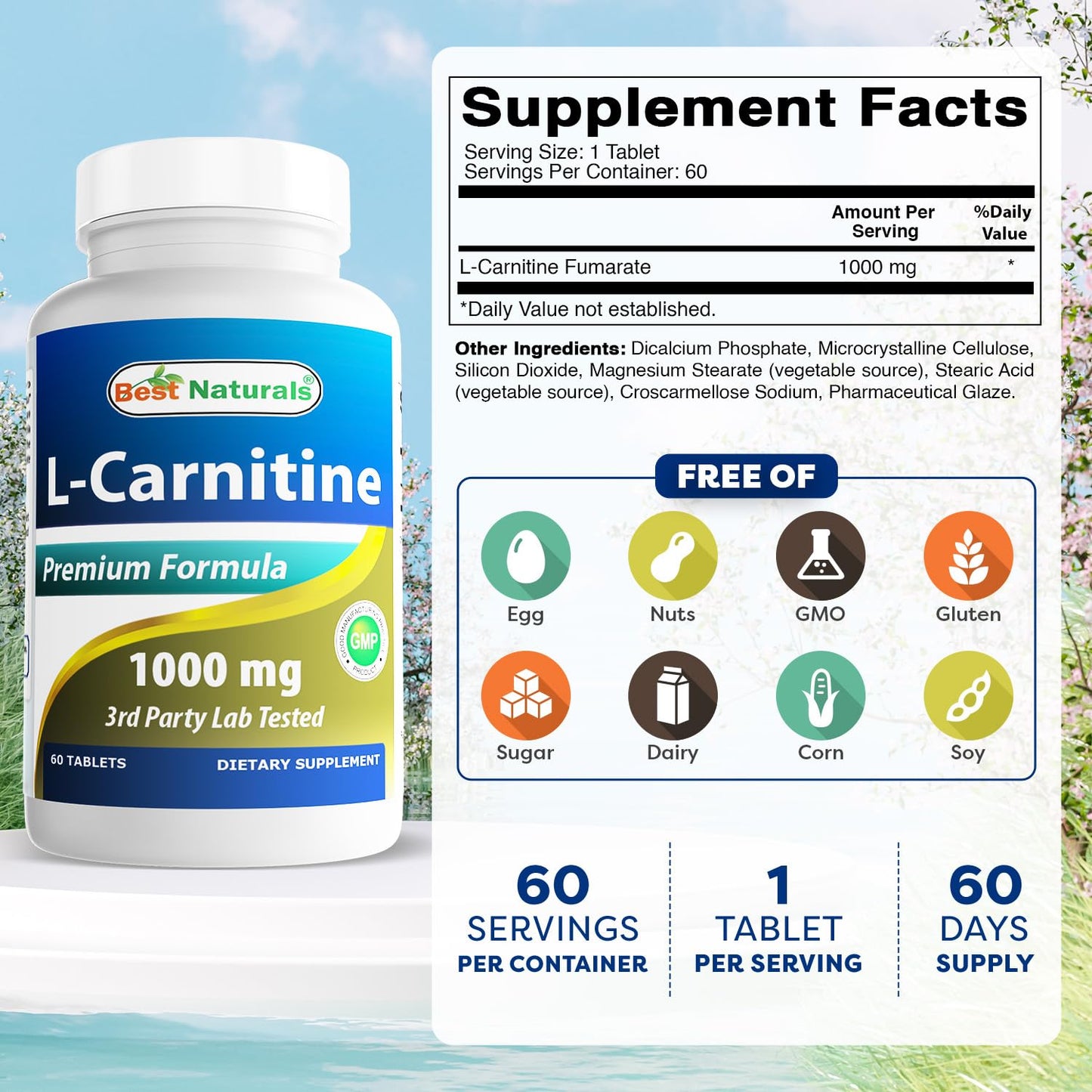 Best Naturals L-Carnitine 1000mg 60 Tablets (60 Count (Pack of 1)) - Maple Wellness Supplements