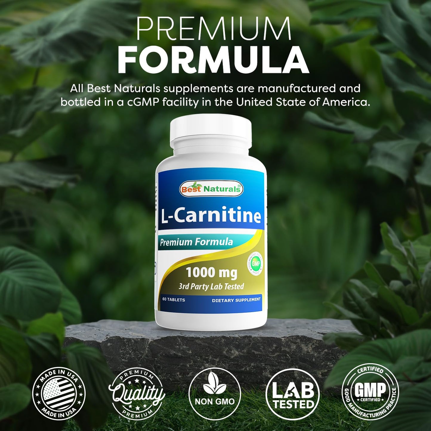 Best Naturals L-Carnitine 1000mg 60 Tablets (60 Count (Pack of 1)) - Maple Wellness Supplements