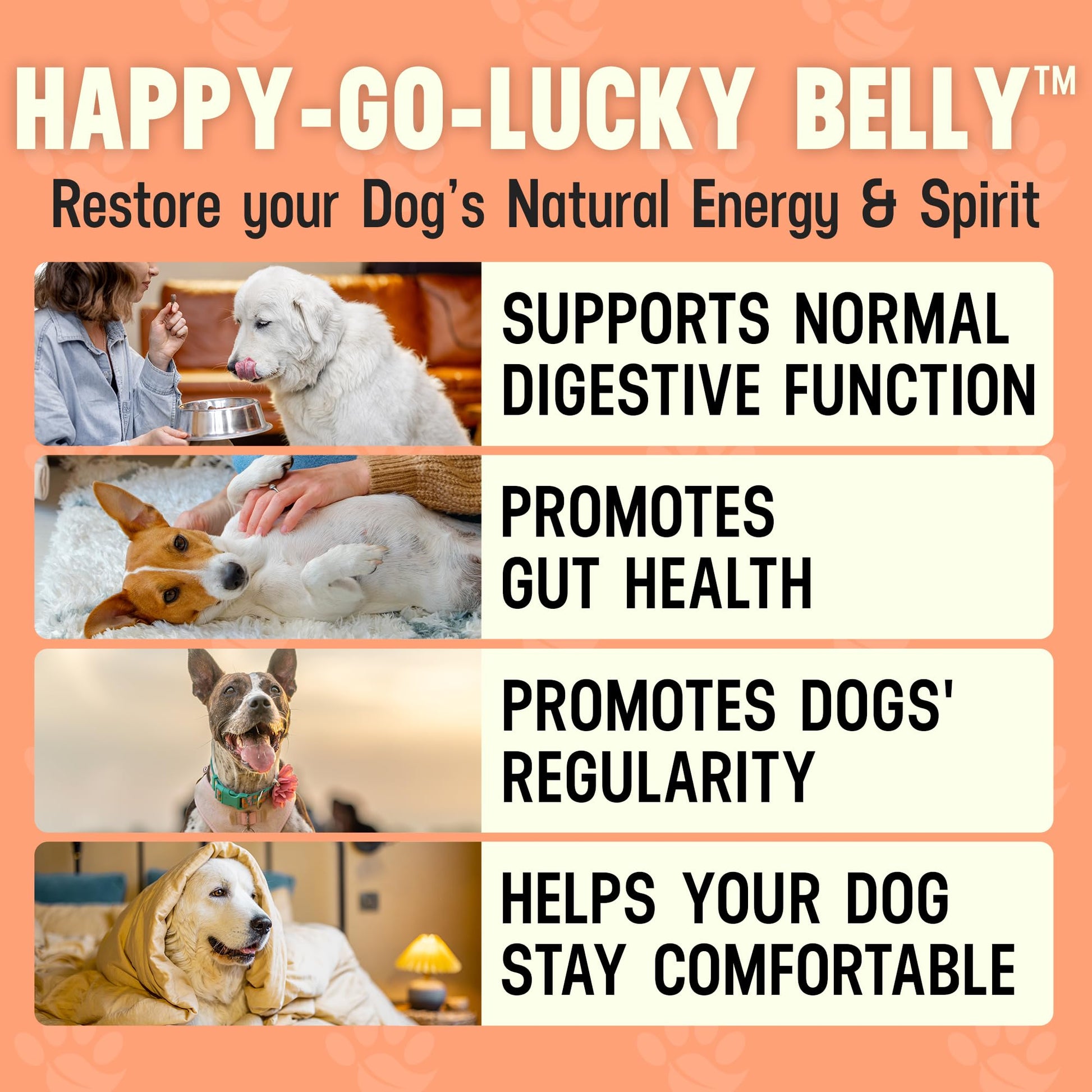 Better Dog Supplements Happy-Go-Lucky Belly by Cesar Millan - Natural Dog Digestive Support Powder – Dog Constipation Relief, Gut Balance & Regularity with Herbal Fiber for Dogs – 4oz (60-Day Supply) - Maple Wellness Supplements