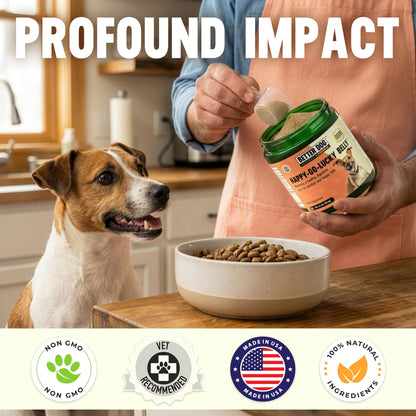 Better Dog Supplements Happy-Go-Lucky Belly by Cesar Millan - Natural Dog Digestive Support Powder – Dog Constipation Relief, Gut Balance & Regularity with Herbal Fiber for Dogs – 4oz (60-Day Supply) - Maple Wellness Supplements