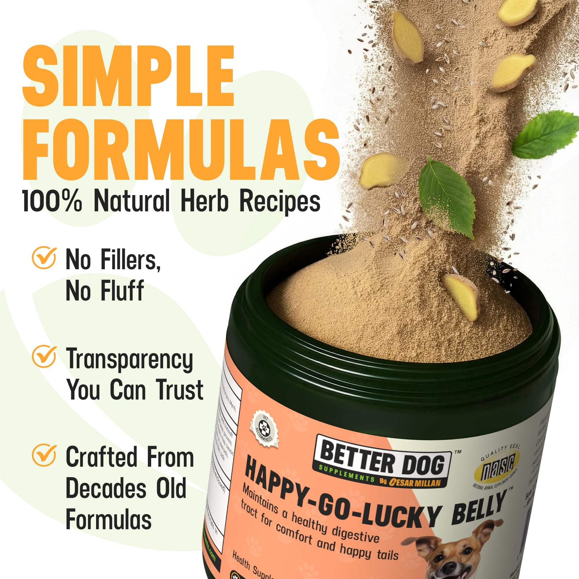 Better Dog Supplements Happy-Go-Lucky Belly by Cesar Millan - Natural Dog Digestive Support Powder – Dog Constipation Relief, Gut Balance & Regularity with Herbal Fiber for Dogs – 4oz (60-Day Supply) - Maple Wellness Supplements