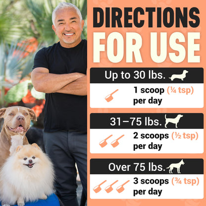 Better Dog Supplements Happy-Go-Lucky Belly by Cesar Millan - Natural Dog Digestive Support Powder – Dog Constipation Relief, Gut Balance & Regularity with Herbal Fiber for Dogs – 4oz (60-Day Supply) - Maple Wellness Supplements