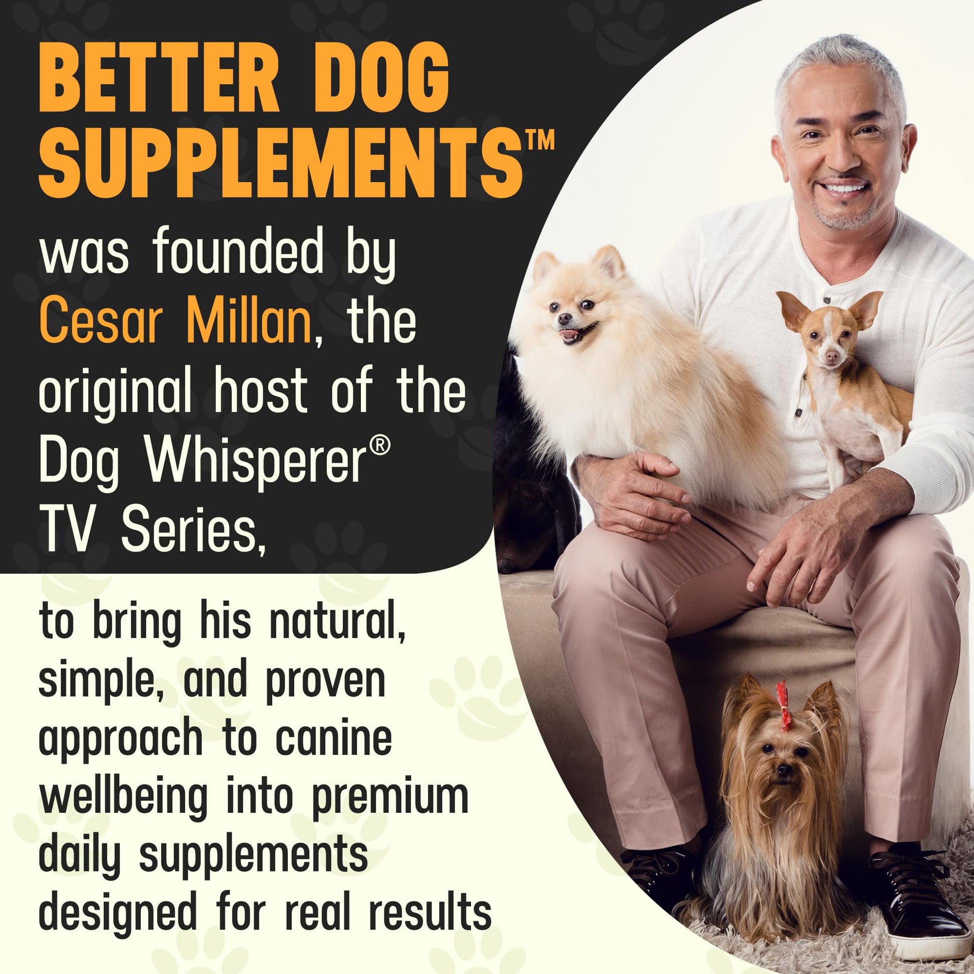 Better Dog Supplements Happy-Go-Lucky Belly by Cesar Millan - Natural Dog Digestive Support Powder – Dog Constipation Relief, Gut Balance & Regularity with Herbal Fiber for Dogs – 4oz (60-Day Supply) - Maple Wellness Supplements