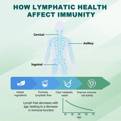 BINMLXG Liposomal Lymphatic Drainage Drops, 8-Herb Formula with Echinacea, Elderberry, Burdock Root Blend, for Lymphatic Drainage, Immune Support, Cleanse & Detox, 2 Fl Oz - Maple Wellness Supplements