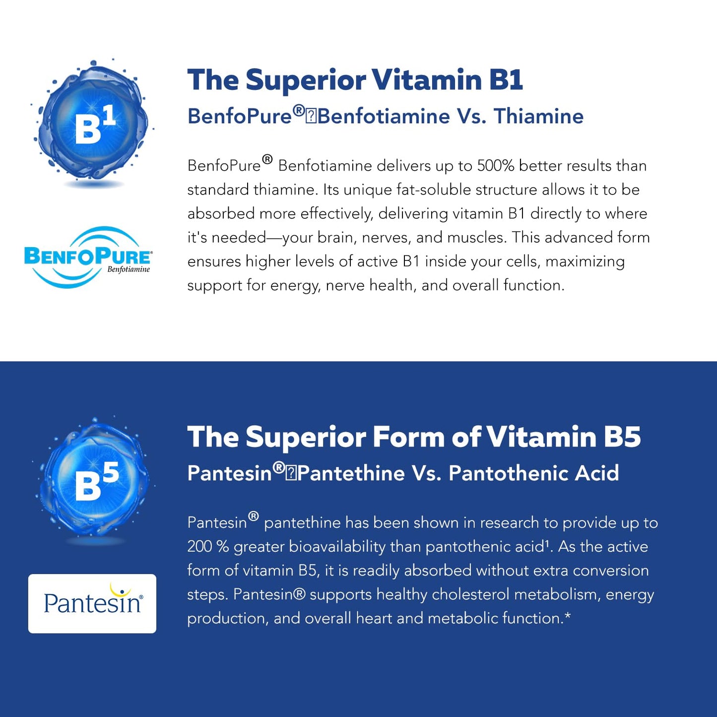 BioActive Vitamin B Complex - Blood Stream Ready, Methylated B Complex - Featuring Methylfolate, 3 BioActive Forms of B12, BenfoPure® B1 & Pantesin - Maple Wellness Supplements