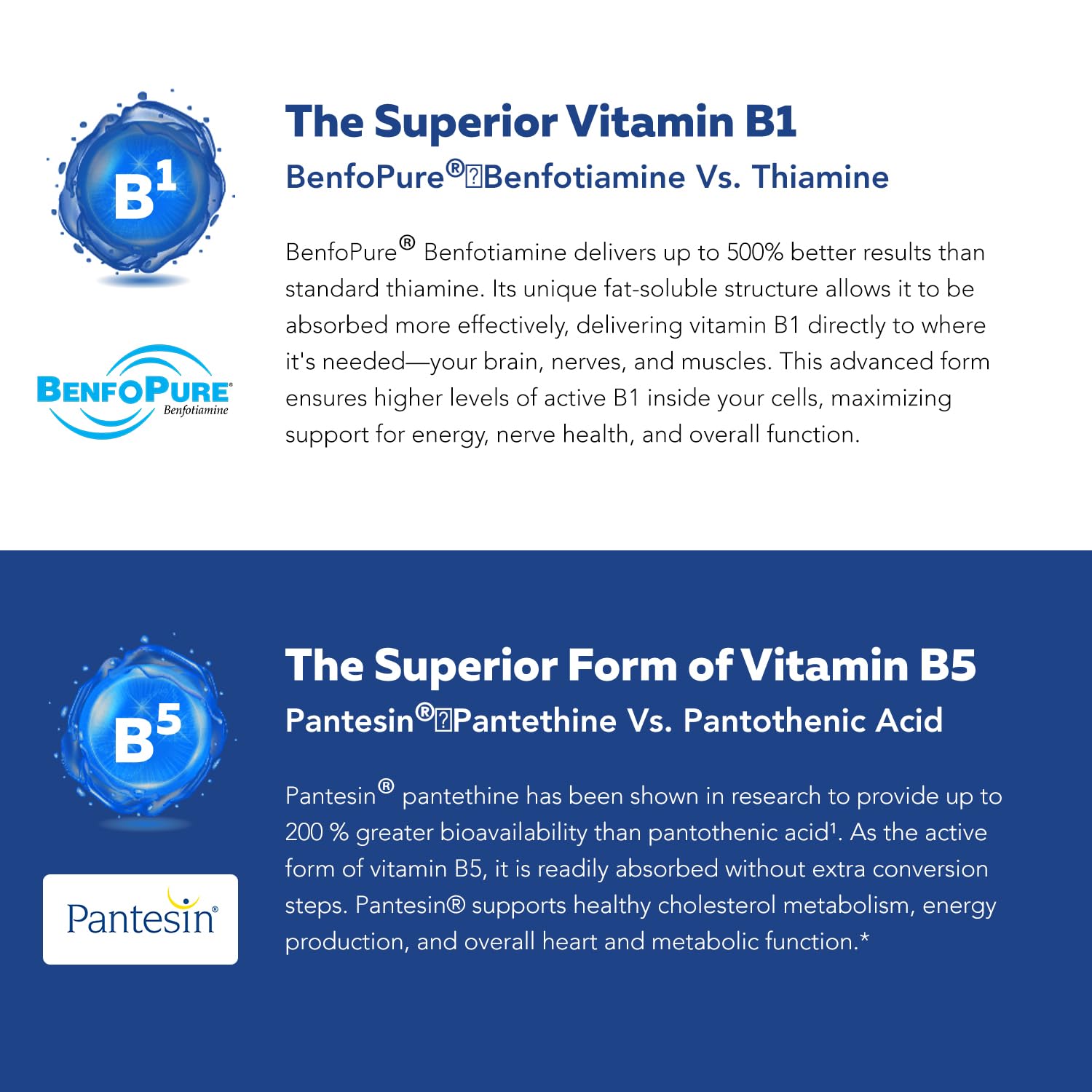 BioActive Vitamin B Complex - Blood Stream Ready, Methylated B Complex - Featuring Methylfolate, 3 BioActive Forms of B12, BenfoPure® B1 & Pantesin - Maple Wellness Supplements