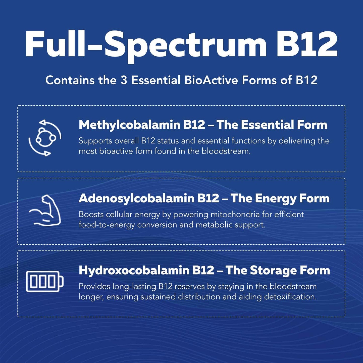 BioActive Vitamin B Complex - Blood Stream Ready, Methylated B Complex - Featuring Methylfolate, 3 BioActive Forms of B12, BenfoPure® B1 & Pantesin - Maple Wellness Supplements