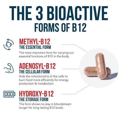 BioActive Vitamin B12 - 5000 mcg, Contains 3 BioActive Forms B12 Plus Methylfolate Cofactor - Methyl B12, Adenosyl B12 & Hydroxy B12 | Supports Energy - Maple Wellness Supplements