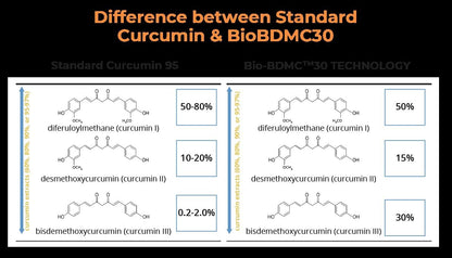 BIOBDMC NovoCurcumin-Next Generation Highly Enhanced Curcumin- 120 Capsules - Maple Wellness Supplements