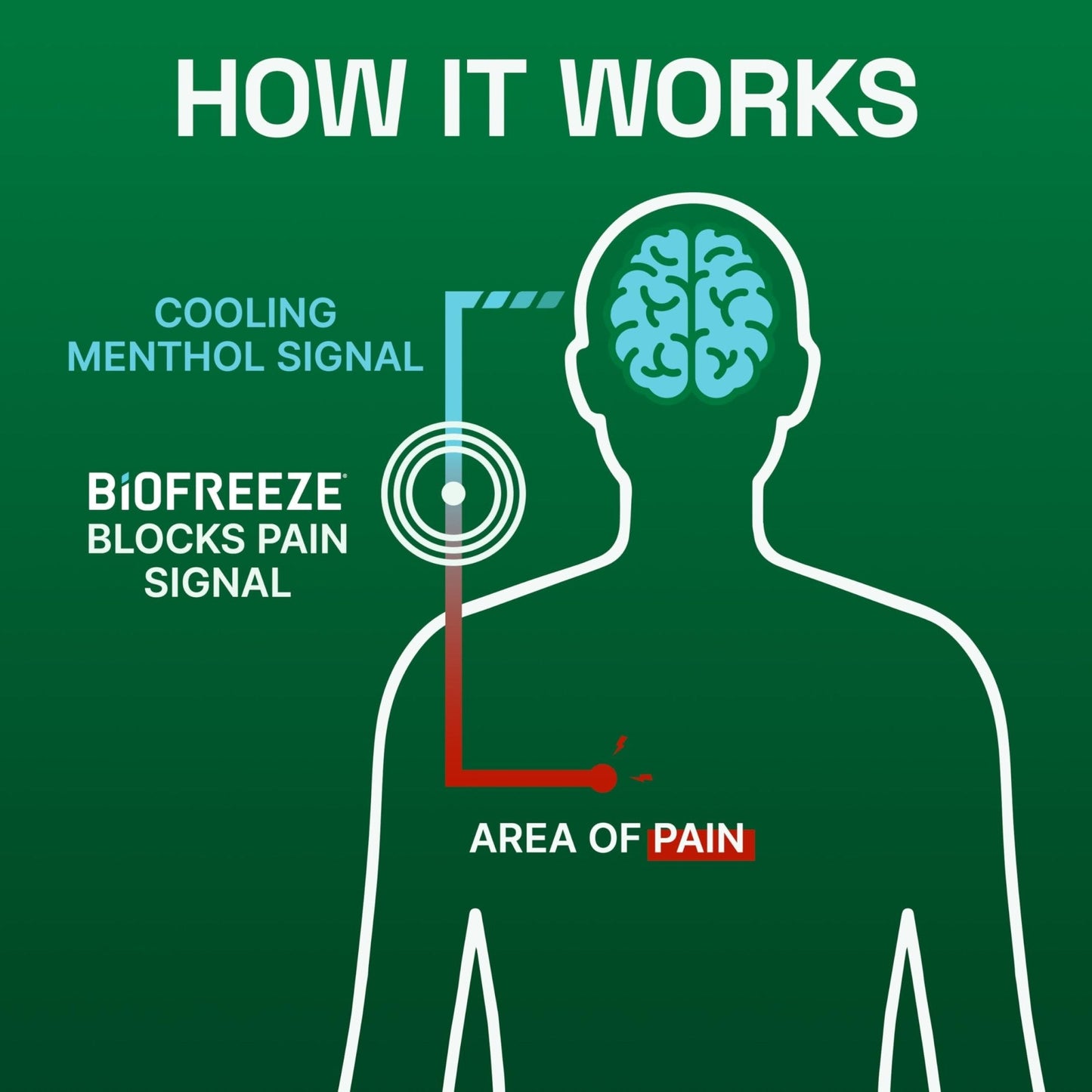 Biofreeze Pain Relief Gel, Arthritis Pain Reliver, Knee & Lower Back Pain Relief, Sore Muscle Relief, Neck Pain Relief, Pharmacist Recommended, 8 FL OZ Biofreeze Menthol Gel - Maple Wellness Supplements