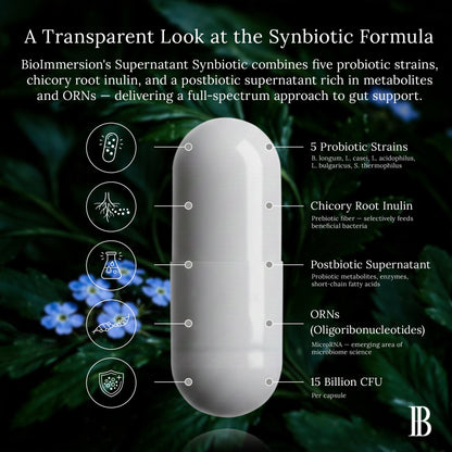 BioImmersion Supernatant Synbiotic - Prebiotic Probiotic Postbiotic - Eases Digestive Discomfort, Gut Imbalance & Yeast Overgrowth - Immune & Microbiome Support - Maple Wellness Supplements