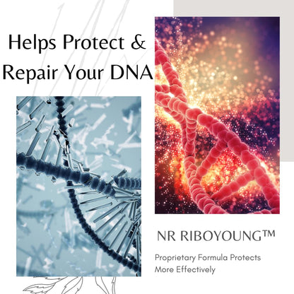 BioImmune NAD+ Supplement. Exclusive Formula w/Patent Pending RiboYOUNG™. Nicotinamide Riboside, Quercetin, Resveratrol, Betaine NRF2 Activator. Anti Aging True NAD Supplement - Maple Wellness Supplements