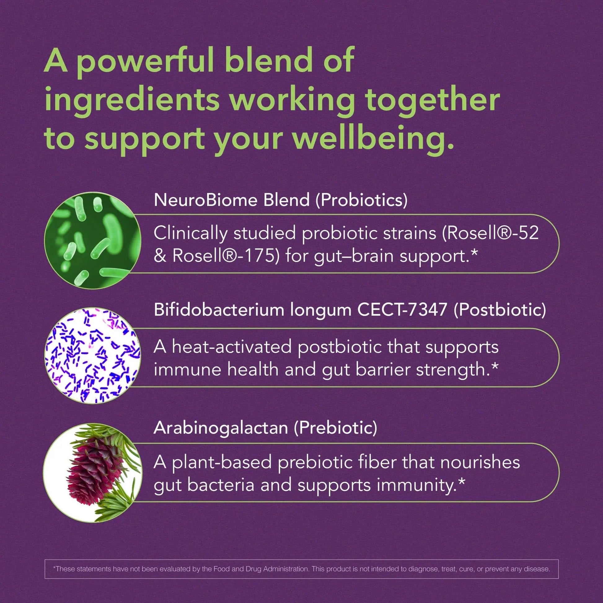 BIOLIGENT Tribiotic+ Prebiotic, Probiotic and Postbiotic Supplement for Women & Men, Gut Health, Immune Support, Bloating Relief, Daily Microbiome and Digestive Support, 30 Capsules, 30 Day Supply - Maple Wellness Supplements