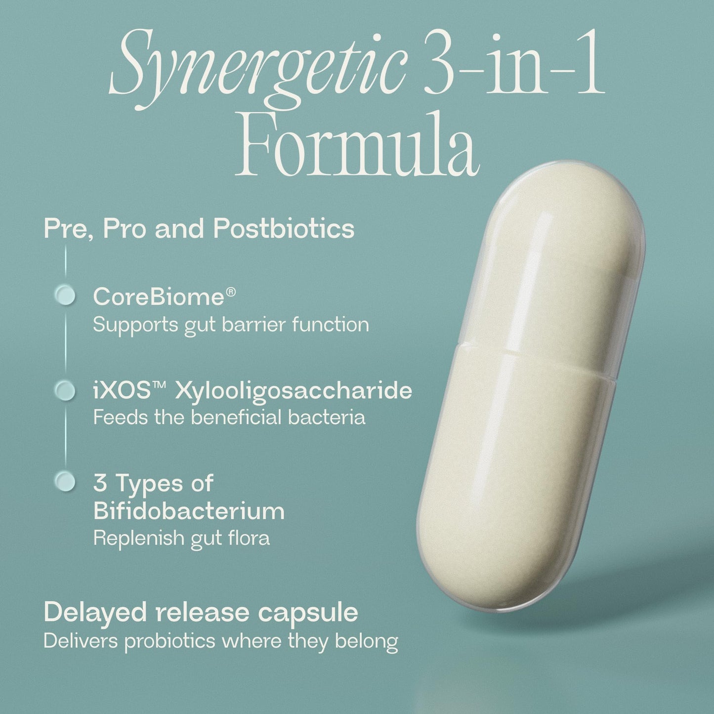 BIOMA Probiotics - Digestive Health Probiotic - Gut Support for Men & Women with Xylooligosaccharides, Tributyrin & Bifidobacterium - Vegan & Gluten Free - Maple Wellness Supplements
