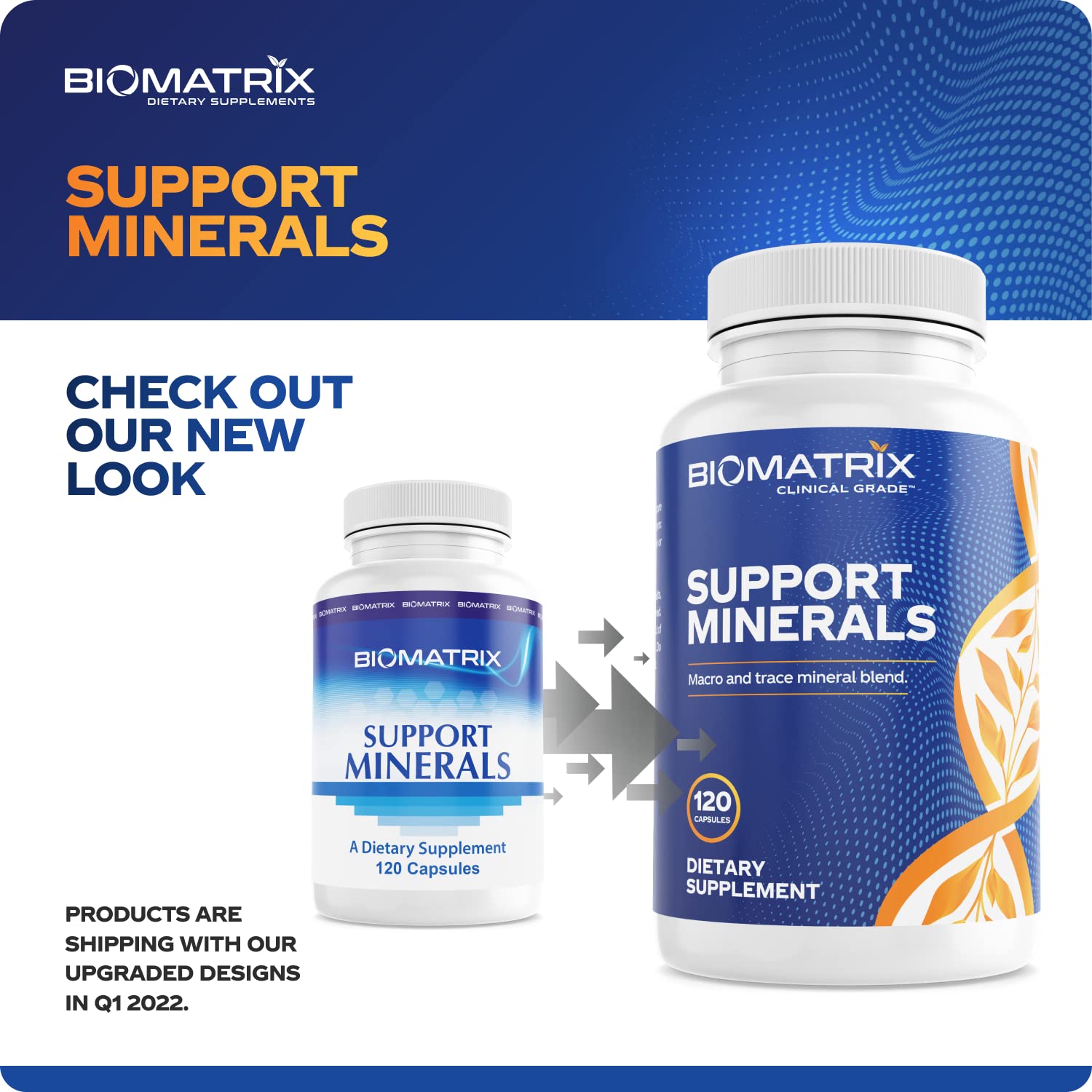 BioMatrix Mineral Supplement for Men and Women, Chelated Minerals | Iron-Free, Calcium, Magnesium, Copper, Zinc, Vitamin D, Iodine | Veggie Caps, 30-Day Supply - Maple Wellness Supplements