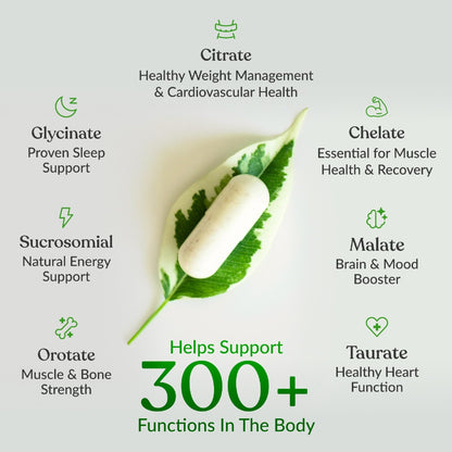 BIOptimizers Magnesium Breakthrough Supplement with 500mg - 7 Forms of Magnesium: Glycinate, Malate, Citrate, and More - Natural Support for Sleep and Cognitive Function -90 Capsules- Calming Vitamins - Maple Wellness Supplements